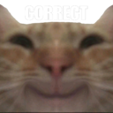 A symmetrical close-up of a ginger cat face with a smug, knowing expression.