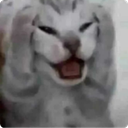 Noo custom emote | kismat™ | Socialize • Voice Calls • Events Friendly • community