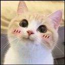 :emoji_12: