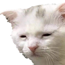 :emoji_129: