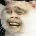 Cat with a human face laughing in a distorted, cursed manner.