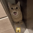 emoji_4 Discord Emoji - Defecit Gang • DG