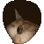 :012_catsearch96:
