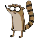 :rigby_cute_surprised_face: