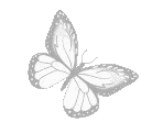Four small white pixel art butterflies arranged in a horizontal row.