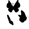 :black_butterflies: