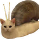 A white cat head with two snail eye-stalks emerging from its forehead, attached to a large brown snail shell.