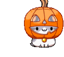 pumpkinkitty animated GIF emoji | m a n a r a