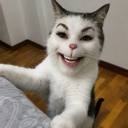 :catindejat: