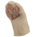 moospaw