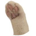 moospaw custom emote | r/Gatti