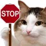 cat_stop