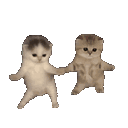 kittydance