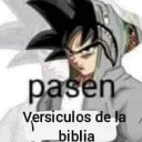 Goku wearing a gray hoodie with the Spanish text pasen versiculos de la biblia overlaid on the image.