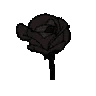 :black_rose: