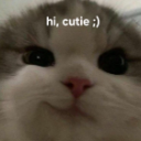 :213326hicutie: