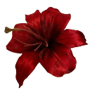 :red: