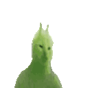 :angry_catslap: