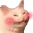 DT_CAT_BLUSH custom emote | Rosarium | • Social • Friendly • Chat • Emojis