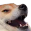 FunnyHaha Discord Emoji from Rosarium | • Social • Friendly • Chat • Emojis