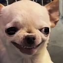 :emoji_20: