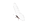 white animated Discord emote from ノmitsuri