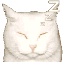 Sleepy animated emote - Homies
