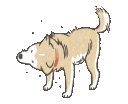 068_3shake animated GIF emoji - Pheromone oasis
