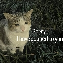 146_20sorry Discord Emoji from Pheromone oasis