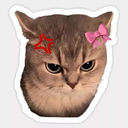 :CuteAngrycatsticker: