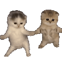 :296917kittydance: