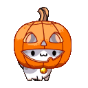 A small white cat wearing a carved orange pumpkin on its head with a happy expression.