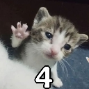 emoji_13 custom emote | Defecit Gang • DG