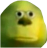 :Bru: