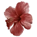 :j_11vampireflower: