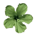 :j_9zombieflower: