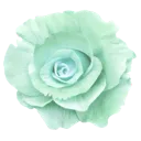 :k_31alienflower: