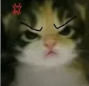 catangry