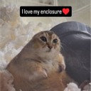 ilovemyenclosure custom emote from ⁽¹⁸⁺⁾ miao ୨ৎ