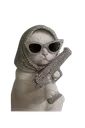 gangstercat