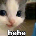 hehehe Discord Emoji - kismat™ | Socialize • Voice Calls • Events Friendly • community