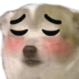 berals_kryptonite custom emote - kismat™ | Socialize • Voice Calls • Events Friendly • community