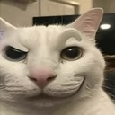weeds_vertexkatarkibilla custom emote | kismat™ | Socialize • Voice Calls • Events Friendly • community