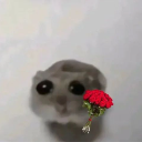 A small gray hamster with giant, watery eyes holding a single red flower.