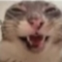 EHEHEHEHEH Discord Emoji | kismat™ | Socialize • Voice Calls • Events Friendly • community
