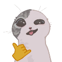Cat with a relaxed expression making a shaka hand gesture.