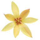 yellowfallens custom emote - Scarlett Johansson
