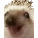 7708happyhedgy custom emote from ØBLIVÆN