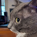 catwtf Discord Emoji | 𝑨𝒍𝒕𝒆𝒓𝒏𝒂𝒕𝒊𝒗𝒆 𝑯𝒂𝒗𝒆𝒏 𝟐𝟎+ 🦇