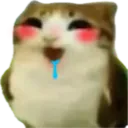 :test2: